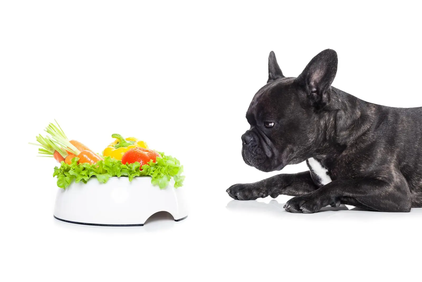 Bulldog-Specific Diet Recipes: Tailored Nutrition for Your Furry Friend